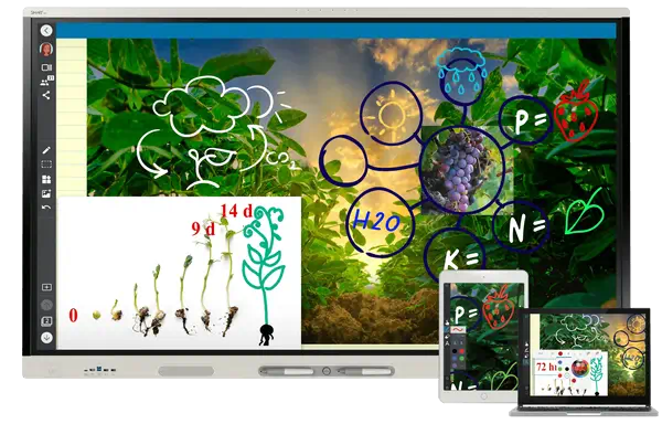 ÀÉcran interactif SMART Board MX065-V4 avec iQ, sans sortie_3