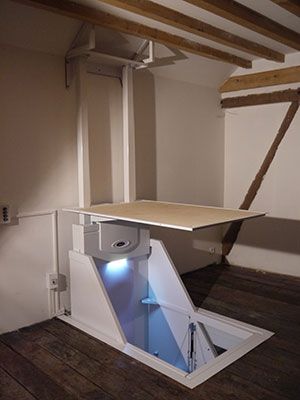 Élévateur domestique avec capacité de 250 kg