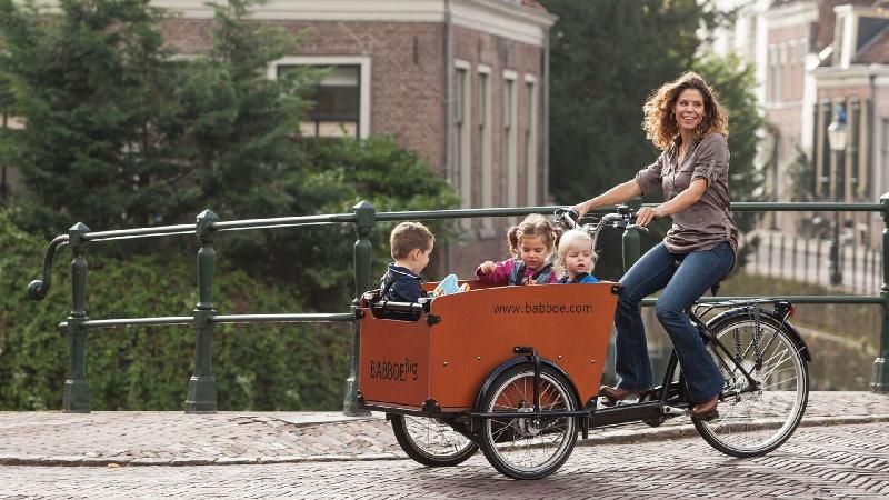 Triporteur Babboe Big - Transport jusqu'à 4 enfants - Boîte Nexus 7 vitesses - Freins tout-temps Shimano_3