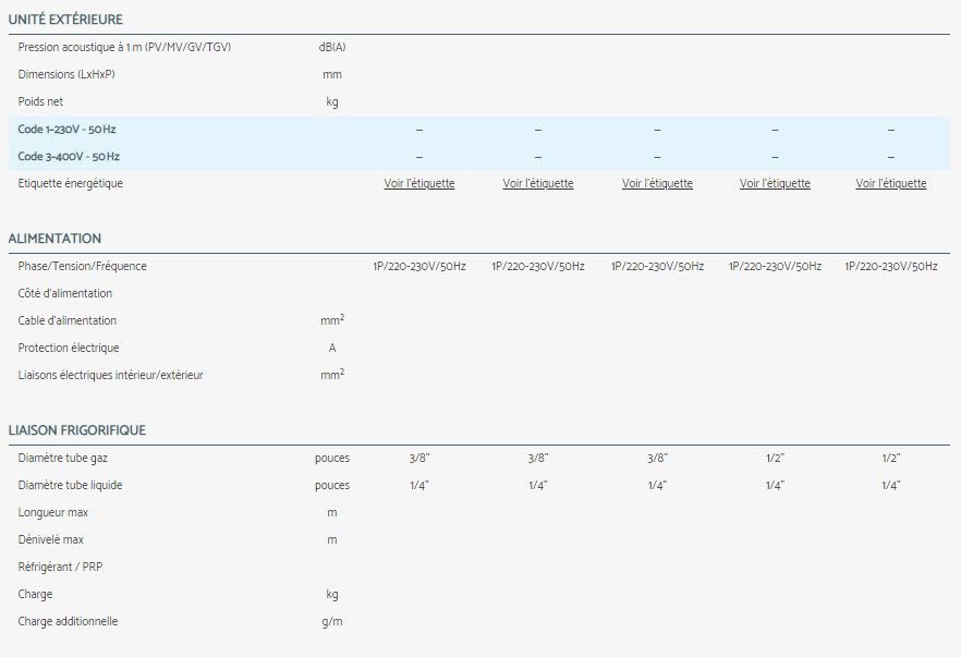CBV - Climatiseur professionnel Airwell - prise air neuf, silencieux et pompe à évacuation intégrée_3