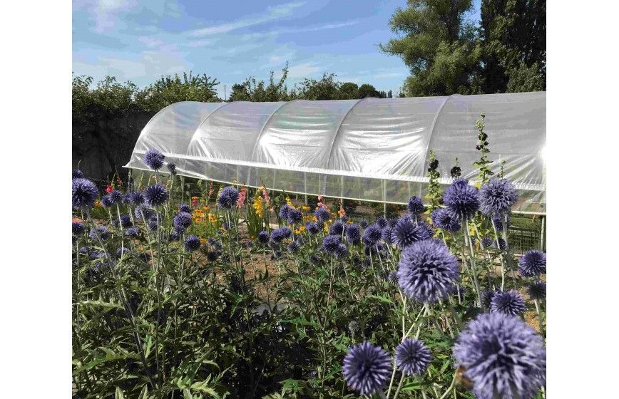 Serre tunnel pour les maraîchers et horticulteurs à installer - tous types de sols - MINI_3