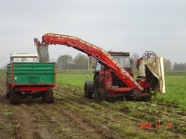 Récolteuse de carottes avec vaste choix d'options