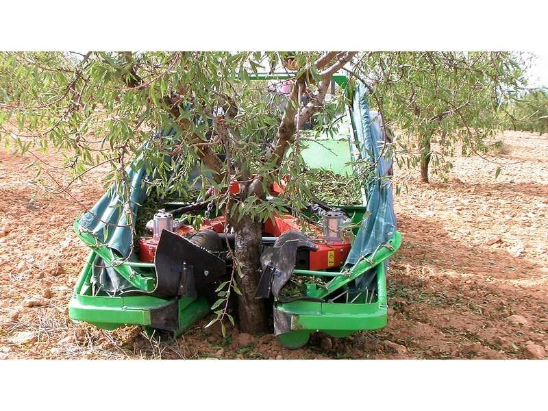 Machine pour récolter les amandes avec boîtier de commandes électrique