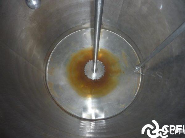 Cuve Pierre Guérin 1625 L - CUV274 - Inox 304L - Motoréducteur 11 kW_3