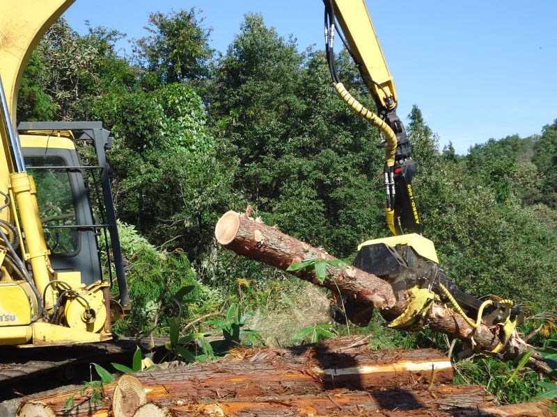 AFM 1000 S - Tête d'abattage multifonctionnelle - AFM Forest - Ouverture max. couteaux 450 mm_3