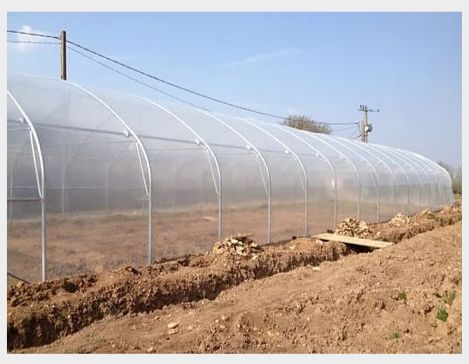 Serre en acier galvanisé résistante aux conditions climatiques difficiles