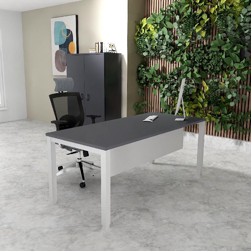 Bureau Professionnel Tempo Mobel Linea. - 140, Alu, Anthracite, Oui_0