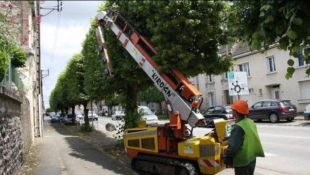 Machine de taille des arbres adaptée aux espaces de circulation réduits