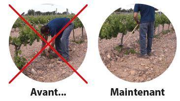 Émondoir manuel Polet - Élimination des jeunes pousses sur vignes et arbres fruitiers - Référence 529103_3