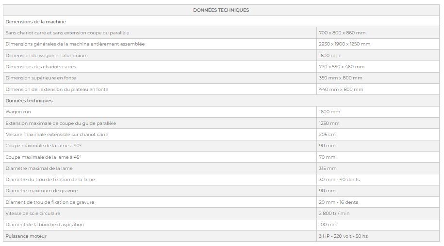 Sc4 1600 - scie à format - DM Italia SRL - lame inclinable 0-45° - diamètre maximal 315 mm - DMcipSC416_3