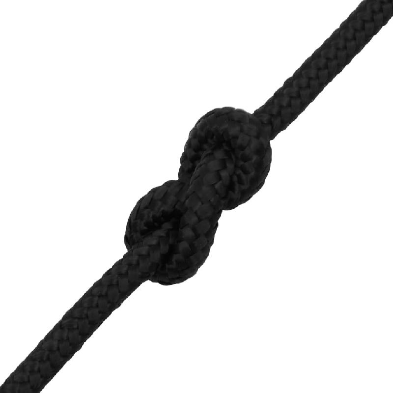 Vidaxl corde de bateau noir complet 10 mm 500 m polypropylène 152510_3