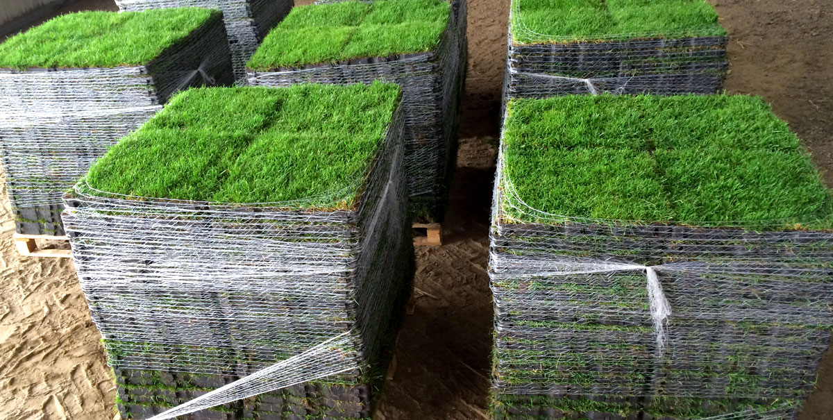 Dalles haute résistance en compression pour parkings esthétiques