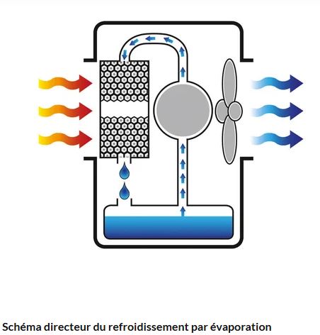 Rafraîchisseur par évaporation Master BC 121 - mobile, silencieux et durable avec grand réservoir et télécommande_3