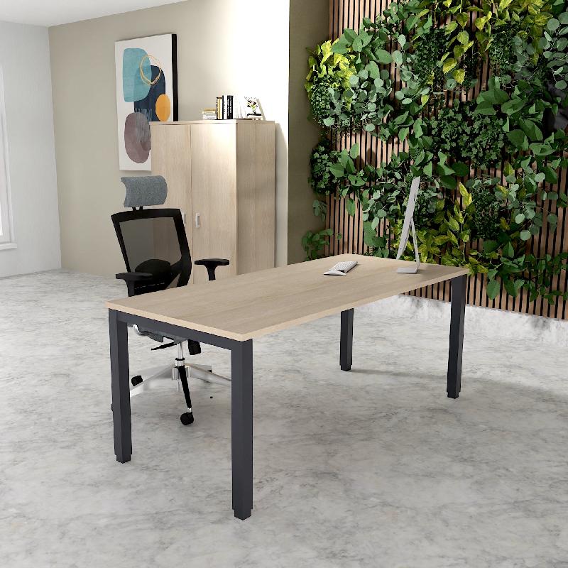 Bureau Professionnel Tempo Mobel Linea. - 140, Anthracite, Acacia clair, Non_0