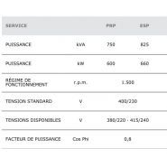 Générateur triphasé professionnel avec alternateur autoexcitateur Mecc Alte