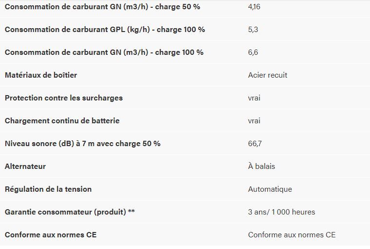 Groupe électrogène fiable pour usage extérieur