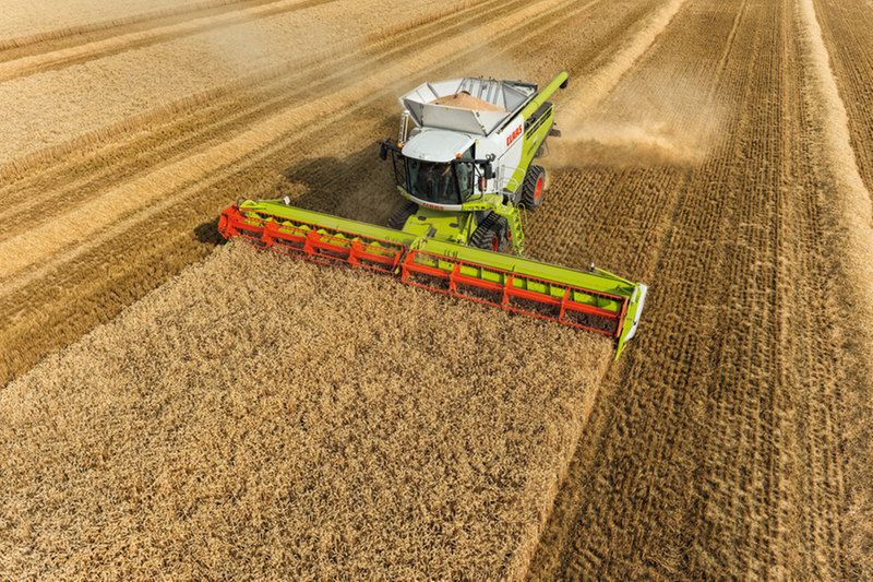 Moissonneuse-batteuse CLAAS Lexion 780-740 - Trémie 12800L - APS Hybrid System_3
