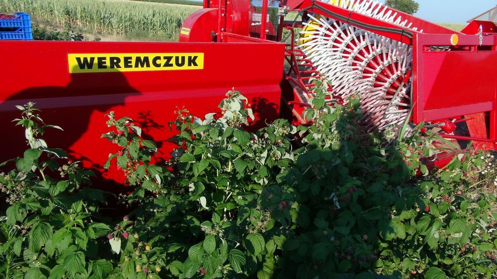 Récolteuse à framboises NATALKA - WEREMCZUK - productivité 0.1 à 0.15 ha/h - puissance minimale requise 35 HP_3