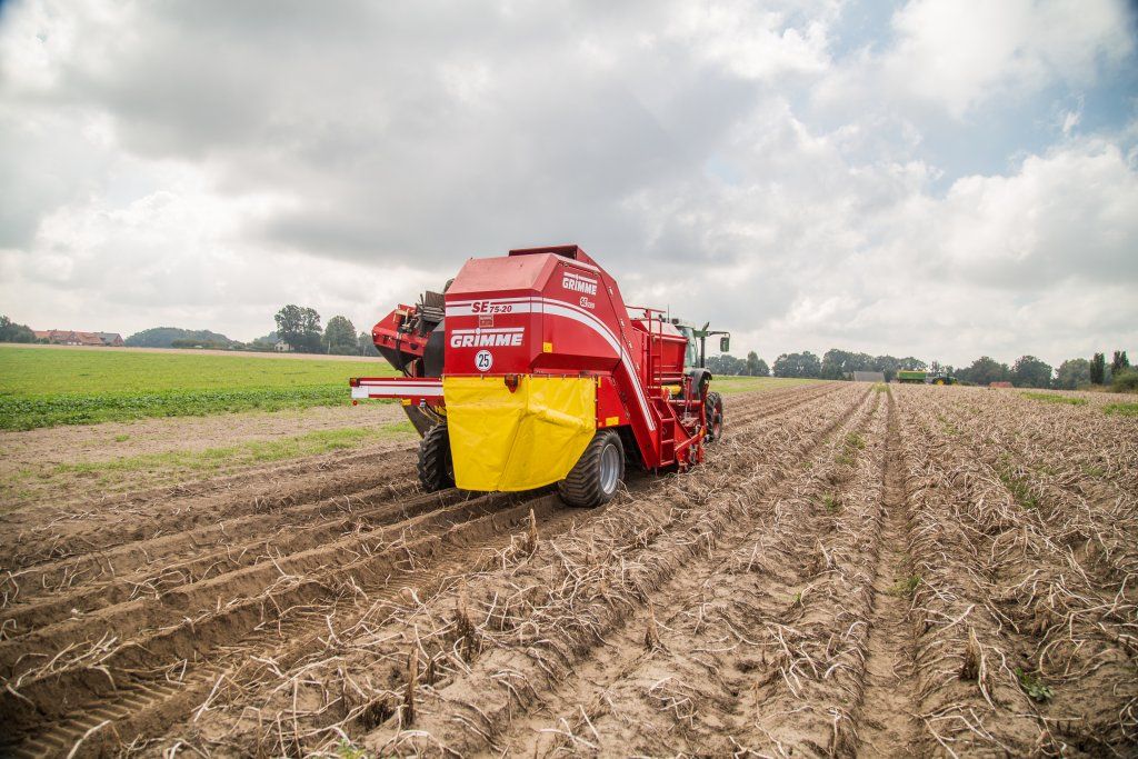 Arracheuse SE75-20 - Grimme France - largeur 3000 mm - capacité trémie 2000 kg - traitement doux et rendement élevé_3