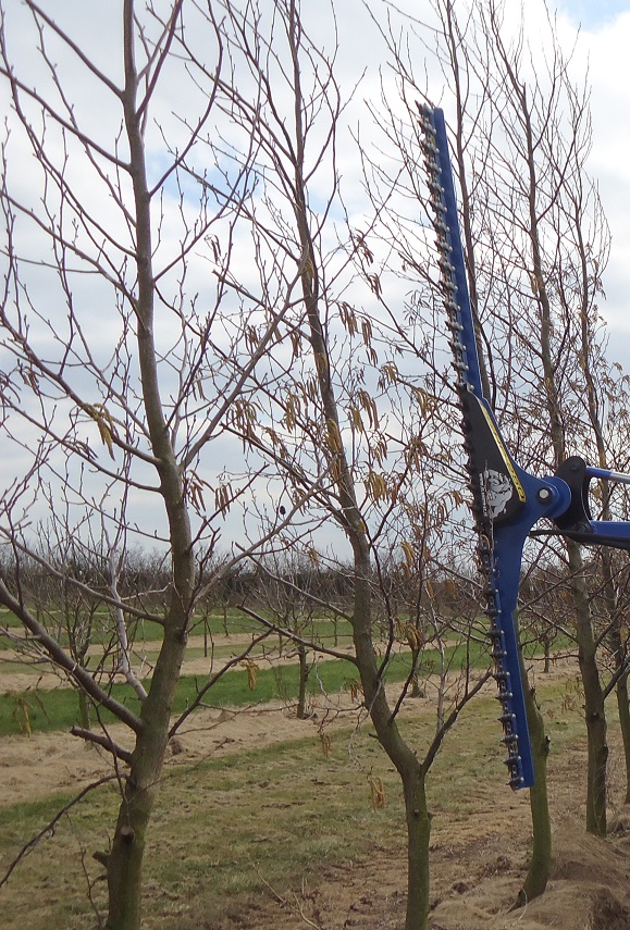 Outil de taille haie hydraulique longue durée