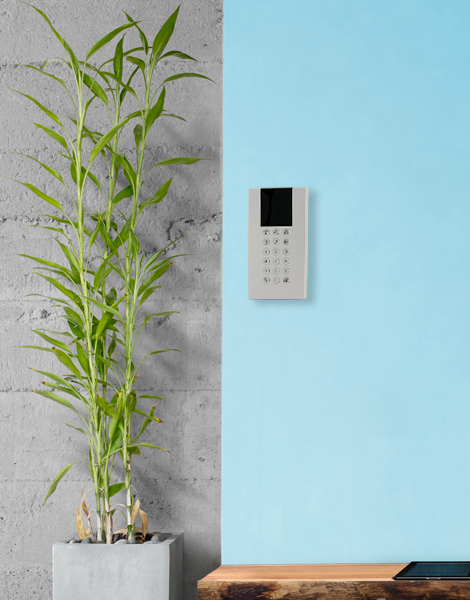 CLAVIER RADIO PANDA AVEC LECTEUR DE BADGES - RISCO_3