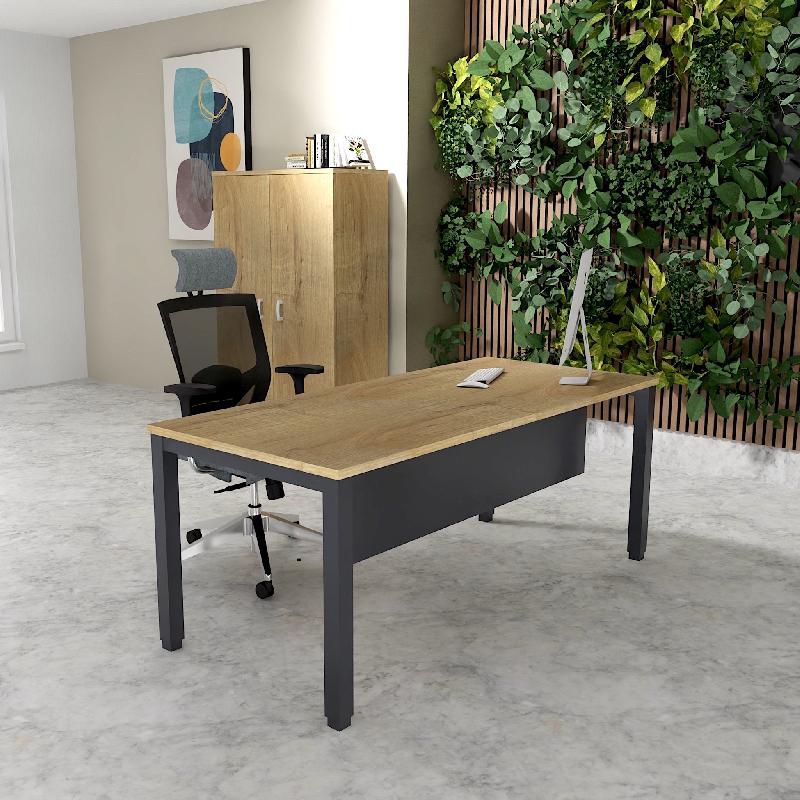 Bureau Professionnel Tempo Mobel Linea. - 160, Anthracite, Oui, Chêne veiné_0