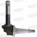 Pivot de roue avant droite pour Fordson Major et Super Major - Référence : PTA-A66875_3