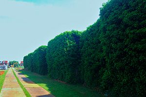 Coco wall - cloison acoustique - noise solutions bv - insonorisante_3