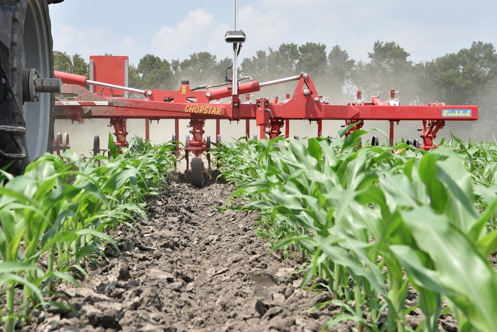 Chopstar 5-90 - Bineuse agricole Einböck pour inter-rangs jusqu'à 90 cm avec dents vibro_3