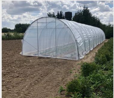 Magnum - Serre tunnel professionnelle Natural - largeur 4m, structure renforcée pour cultures sur ficelles_3