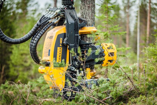 H6 - tête d'abattage - ponsse sa - poids minimum 1050 kg_3