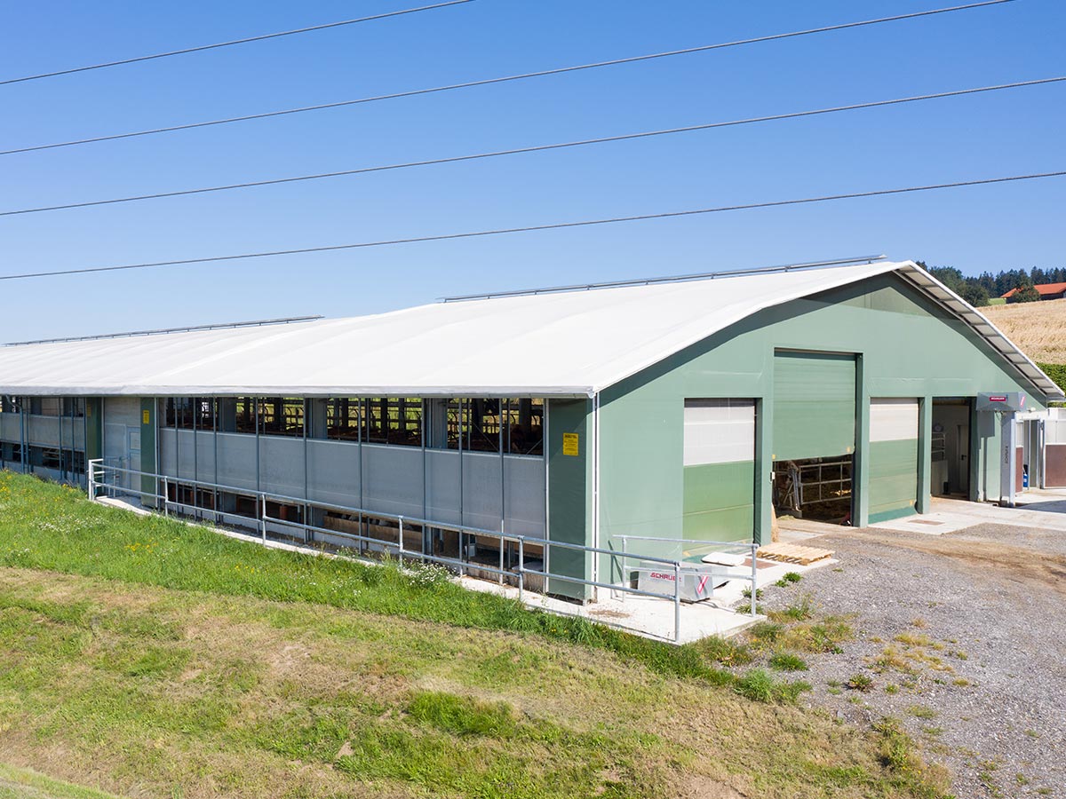 Bâtiment d'élevage métallo-textiles pour vaches laitières - Spacieux, clair, baigné de lumière - AGROTEL_3