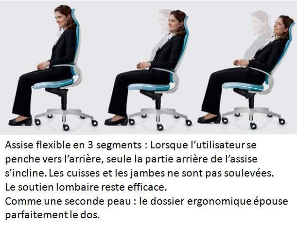 Fauteuil de bureau ergonomique Intouch - Design primé et mécanisme Syncro-Dynamic breveté - Dauphin_3