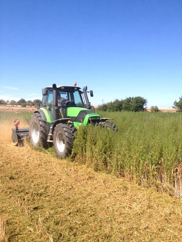 Tj broyeur forestier - tmc cancela - largeur de travail (cm) 280-320_3