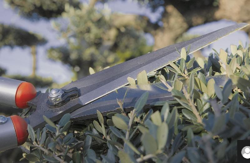 Cisaille à haies Bahco Pradines P52 - légère, compacte, idéale pour l'art topiaire, avec étui cuir_3