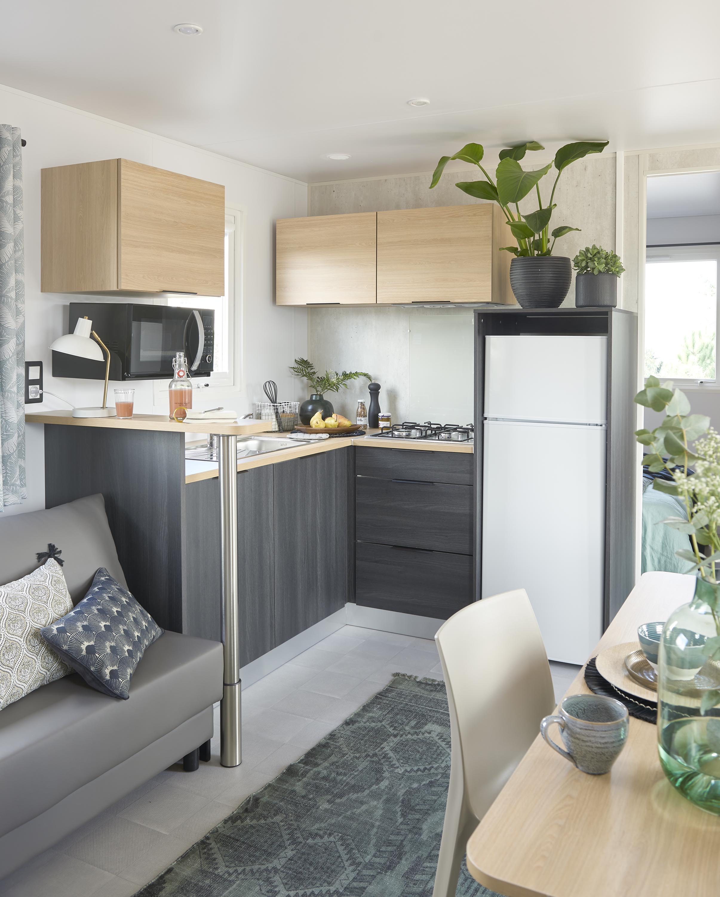 Mobil home louisiane corail 2020_3