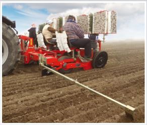 Unitrium 45 - Planteuse Checchi & Magli - Distance entre les rangs 45 cm - Semi-automatique pour plants à motte conique et pyramidale_3