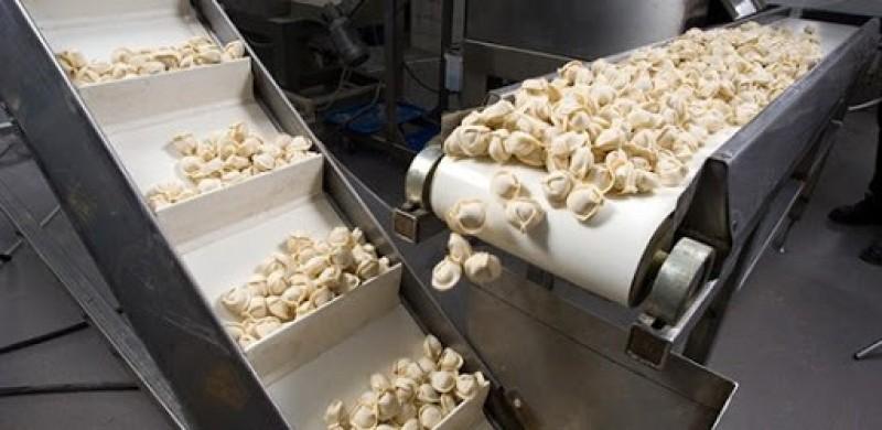 Convoyeurs à tapis pour l'industrie agroalimentaire - fabrication sur mesure - Lecitech_3