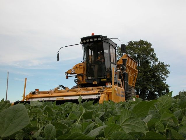 Récolteuse multi-légumes Oxbo 2430 - Sweere Food Processing B.V - moteur John Deere 173 HP - capacité 4545 kg_3