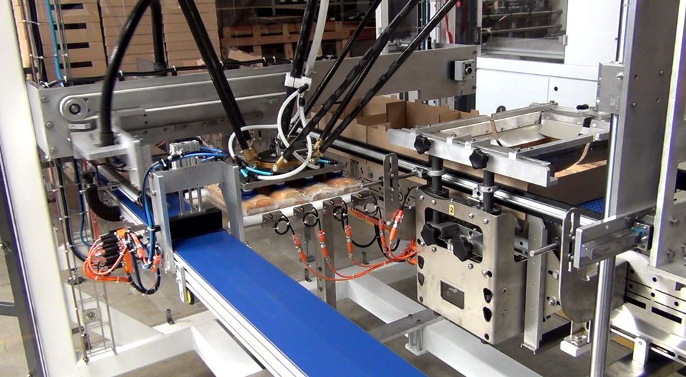 Encaisseuse multi formats Top Load - Robots Pick and Place - 40 caisses/minute - Pupitre IHM 12''_3