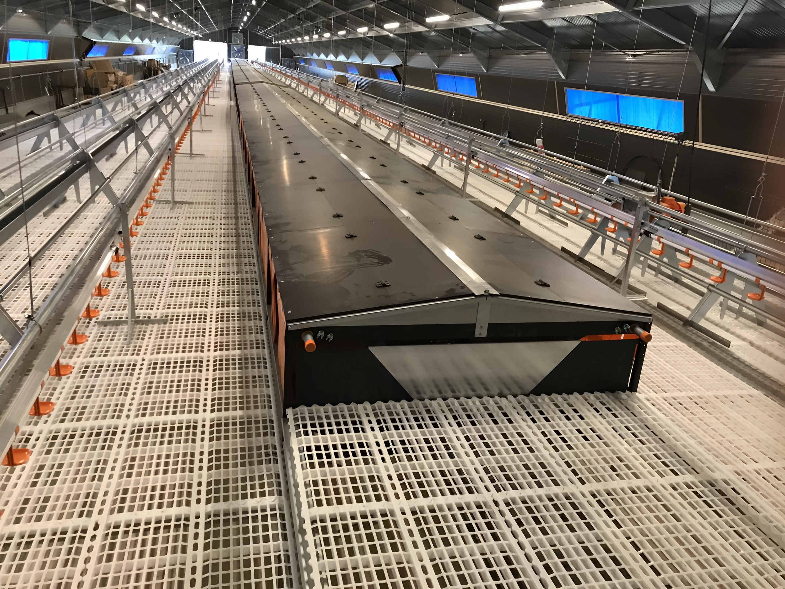 Construction adaptée pour 250 à 9 000 poules pondeuses