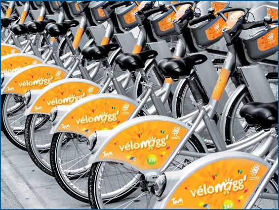 Autocollants et adhésifs personnalisés - Pour voitures et autres véhicules_3