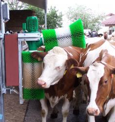 Brosse automatique montée sur parallélogramme pour vaches - AGRIEST ELEVAGE - Adaptée à la taille de l'animal_3