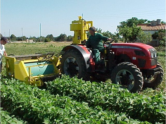 Récolteuse Trac-Pix Sweere - 2 rangs - largeur hors tout 3,48 m - pour haricots_3