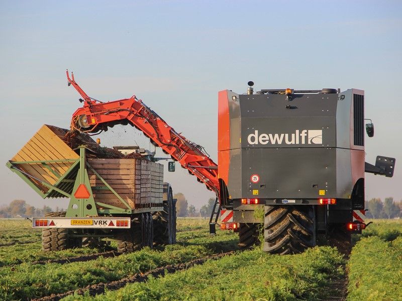Arracheuse par préhension ZKIV - Dewulf BV - 120 t/h - 4 rangs - largeur 3500 mm - pour carottes fraîches_3