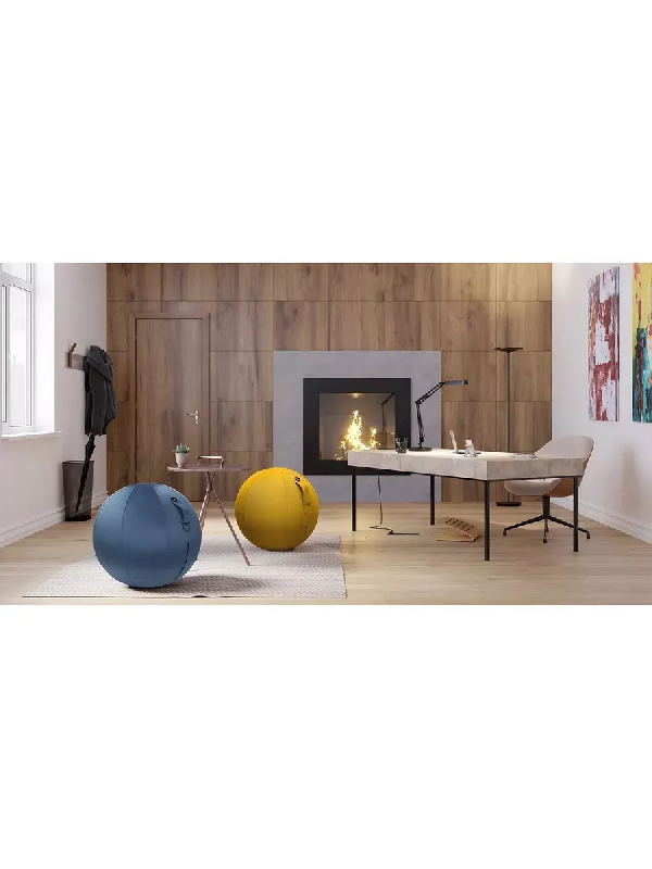 Ballon ergonomique ERGOBALL bleu prestige_3