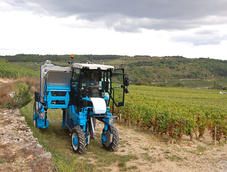 Cueilloir 27 h machine à vendanger - bobard-_3