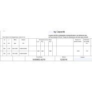 Monte-charge autoporteur Type 500.15/59 - CMC Monte Charges - Charge 500 kg - Pylône galvanisé à chaud_3