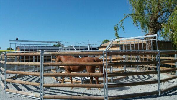 Marcheur Loisirs non couvert pour chevaux - LCI Cheval - 14m ou 16m_3