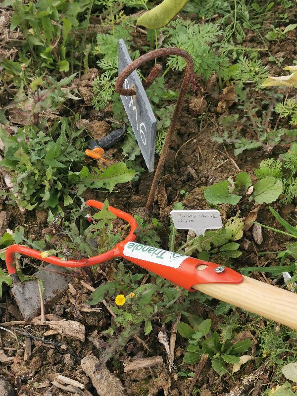 Binette à tirer ouverte 16cm - acier - lame 16cm - Polet - référence 211331_3